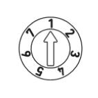 Type WT (Ugedage)