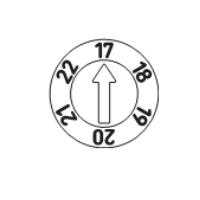 Type C (6 years)