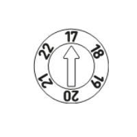 Type C (6 years)