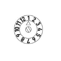 Type B (month)